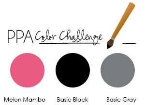 PPA Colour Challenge 150